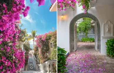No es Grecia, es Mar del Cabo: el hotel boutique que enamora en Los Cabos