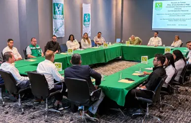 Partido Verde en Coahuila va sin alianzas en elecciones 2026