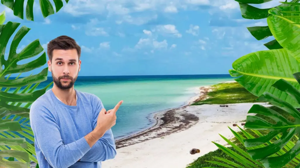 5 playas escondidas de Yucatán que casi nadie visita
