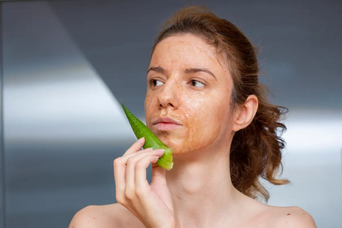 El aloe vera o sábila es una de las plantas curativas más utilizadas en la medicina tradicional. Foto: Canva
