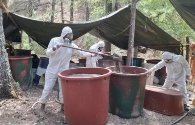 Incautan casi 100 millones de pesos en droga y precursores en la Sierra de Durango