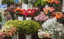 ¡Tenancingo florece! Llega el primer Festival Cultural de las Flores