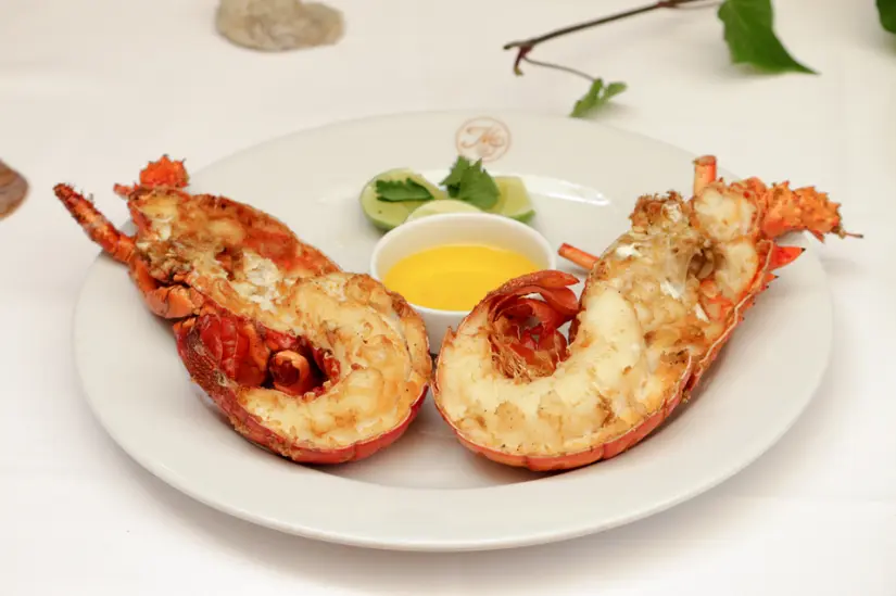 Foto: Animalgourmet.