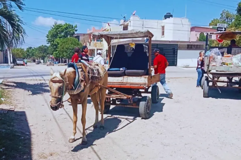 Es indispensable sustituir a los equinos por motos | Foto: Axel Hassel
