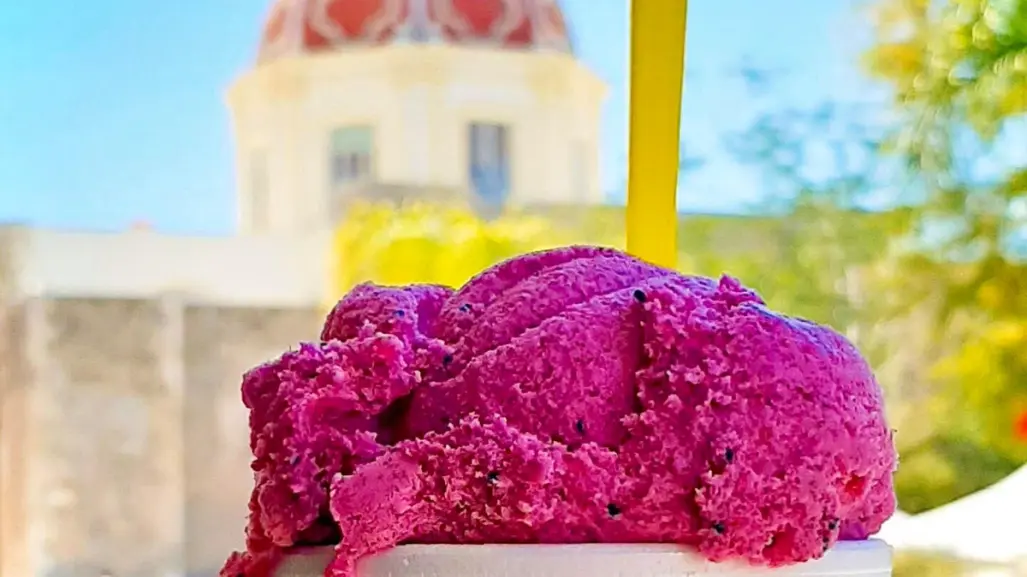 Estas son las exóticas nieves de cactus que se elaboran en Tamaulipas