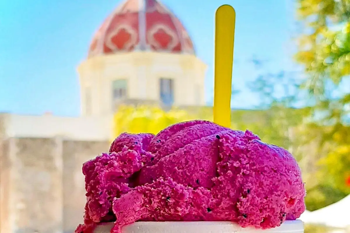 Nieve de garambullo, fruto de una cactácea nativa de la región semiárida de Tamaulipas. Foto: Carlos García