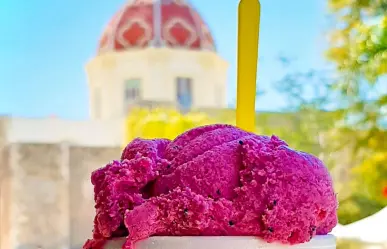 Estas son las exóticas nieves de cactus que se elaboran en Tamaulipas