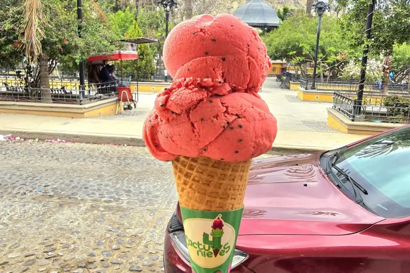 Nieve de pitaya. Foto: Cactu Nieves