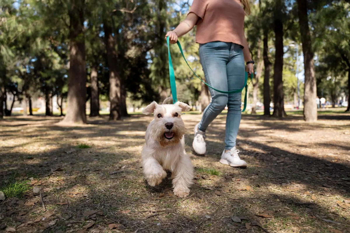 Mujer paseando con su perrito en CDMX. Foto: Freepik