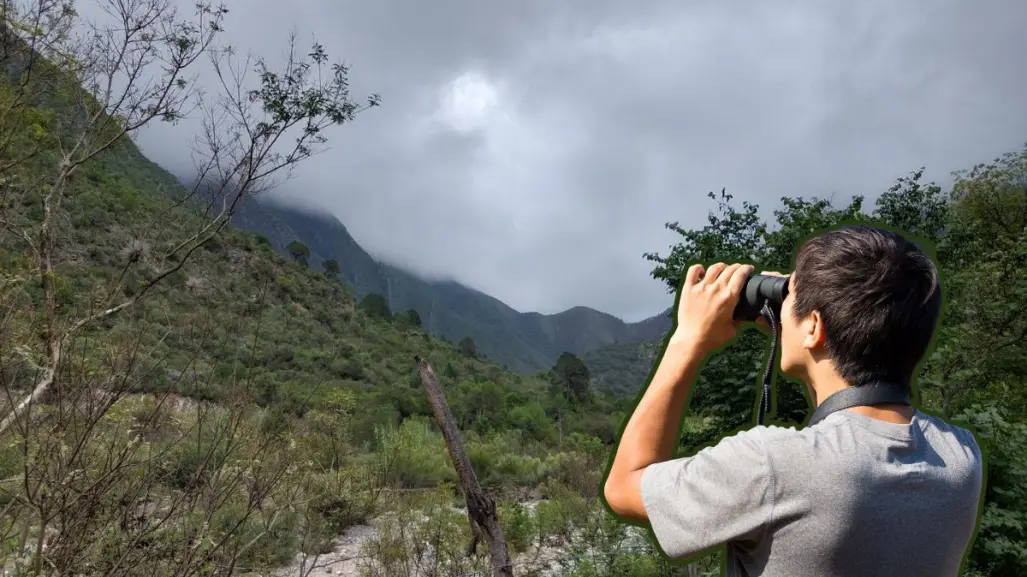 Conoce las plantas y árboles nativos de Nuevo León que puedes encontrar en el Cañón San Juan Bautista
