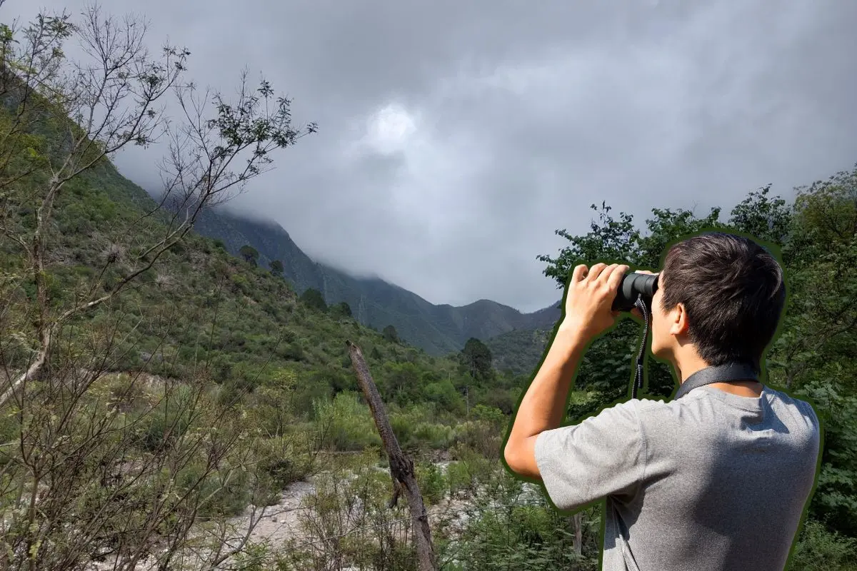 El Cañón de San Juan Bautista, localizado en el estado de Nuevo León, es un espacio natural que combina belleza escénica con una gran riqueza ecológica. Foto: Wikiloc / CANVA