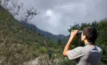 Conoce las plantas y árboles nativos de Nuevo León que puedes encontrar en el Cañón San Juan Bautista