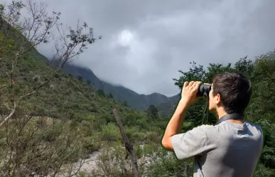 Conoce las plantas y árboles nativos de Nuevo León que puedes encontrar en el Cañón San Juan Bautista