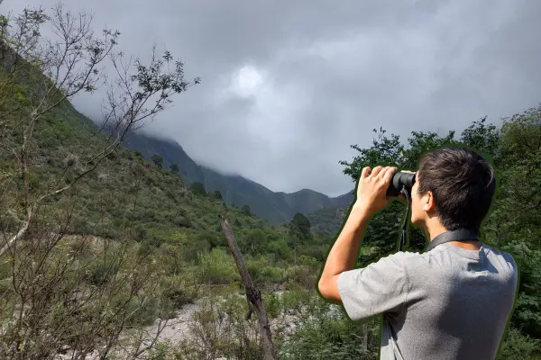 Conoce las plantas y árboles nativos de Nuevo León que puedes encontrar en el Cañón San Juan Bautista