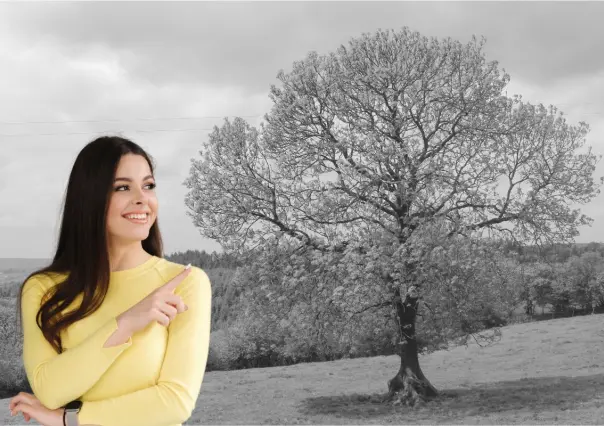 Este es el árbol nativo de Nuevo León ideal para soportar el clima extremo y dar sombra