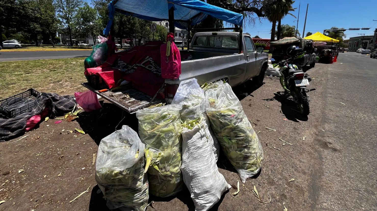 Por cambio de espacio, eloteros reportan bajas ventas. Foto: Alejandro Ávila.