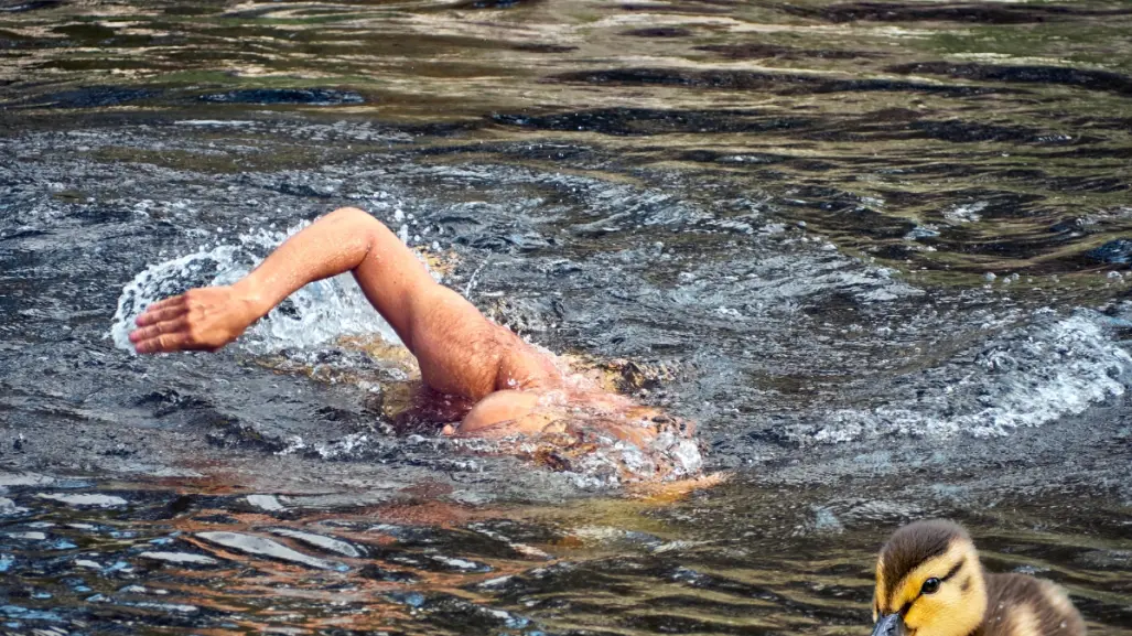 VIDEO I Captan a hombre nadando desnudo en el río Santa Catarina