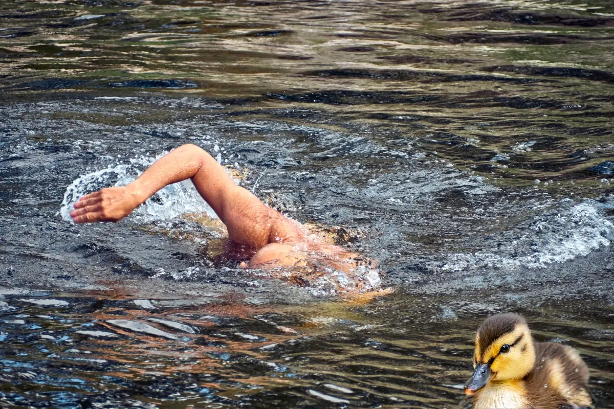 Hombre nadando. Foto: Canva