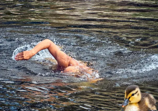 VIDEO I Captan a hombre nadando desnudo en el río Santa Catarina