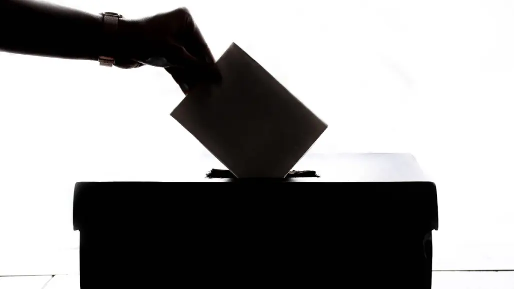 Elecciones 2025: INE señala que cursos para observadores de casilla se están haciendo en línea