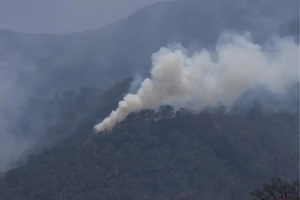 Imagen ilustrativa de un incendio forestal en la sierra de Tamaulipas. Foto: Carlos García