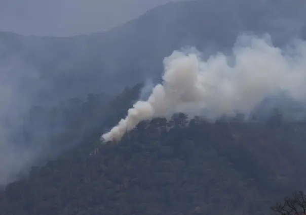 Onda de calor y vientos incrementan riesgo de incendios en Tamaulipas este 16 de mayo