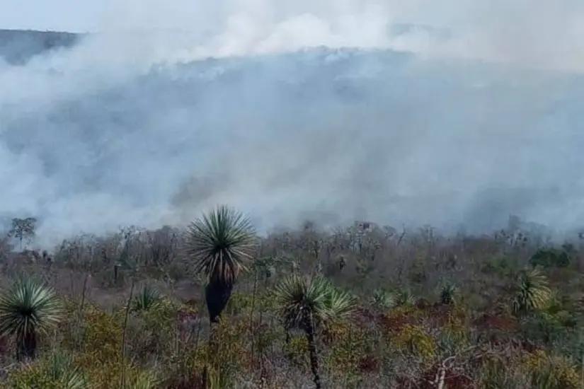 el incendio empezó el día de ayer en la zona serrana de Jauvame | Foto: FB