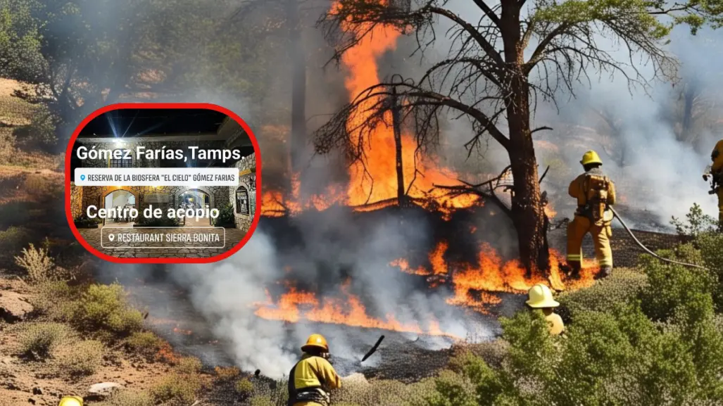 Piden alimentos para los brigadistas que luchan contra el fuego en la Reserva de El Cielo