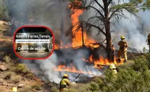 Piden alimentos para los brigadistas que luchan contra el fuego en la Reserva de El Cielo