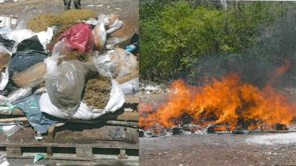 FGR incinera 150 kilos de diversos narcóticos en Yucatán