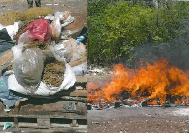 FGR incinera 150 kilos de diversos narcóticos en Yucatán