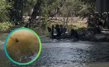 ESPECIAL| Río Tunal, cuando el agua enferma