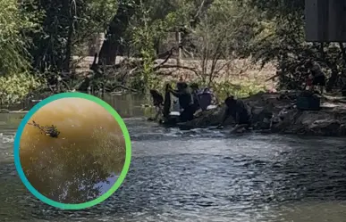 ESPECIAL| Río Tunal, cuando el agua enferma