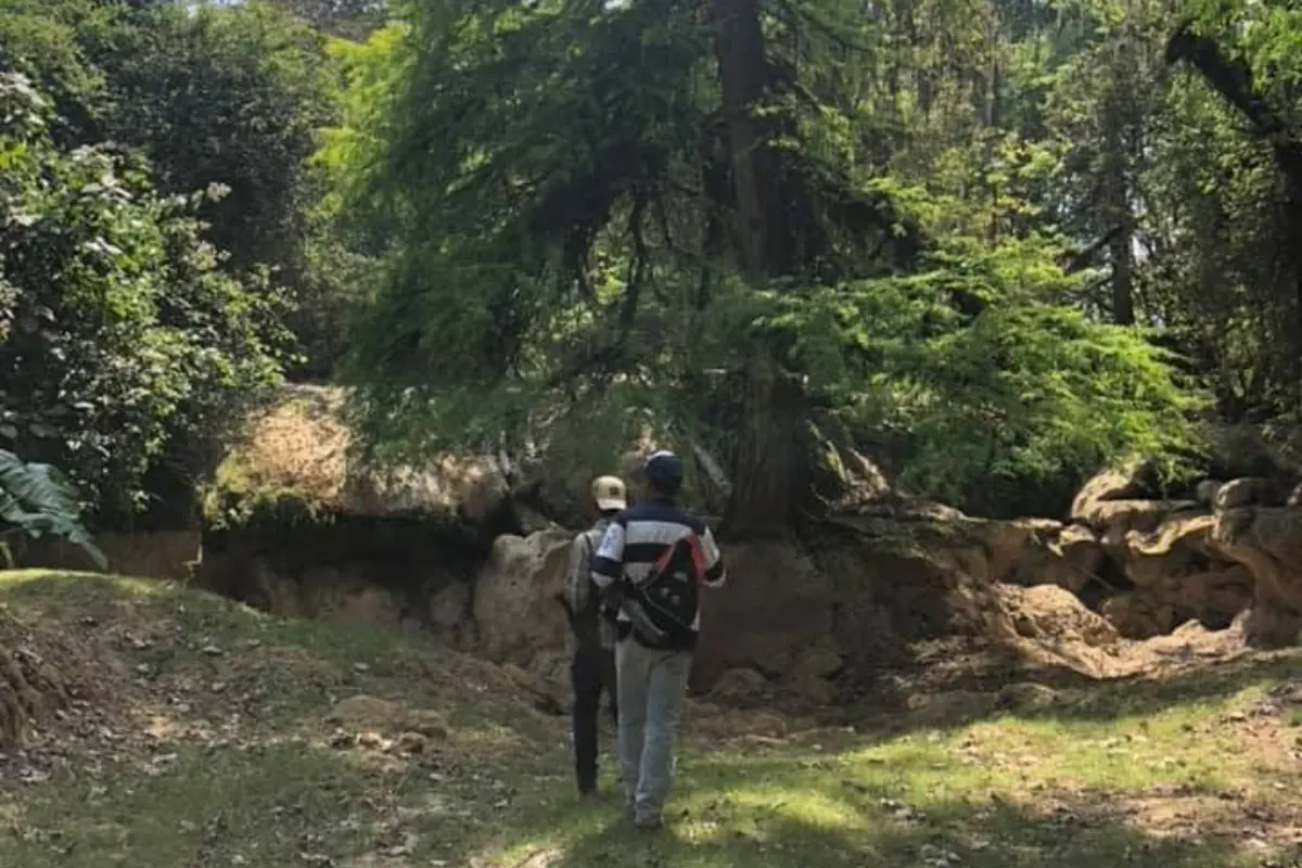 Esta ruta te lleva desde lo más árido de Tula hasta la fresca huasteca tamaulipeca. Foto: Daniel Espinoza