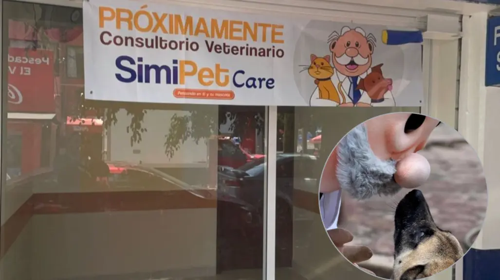 Simi Pet abre sus puertas en la CDMX, ¿adiós a los veterinarios caros?