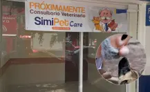 Simi Pet abre sus puertas en la CDMX, ¿adiós a los veterinarios caros?
