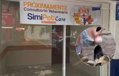 Simi Pet abre sus puertas en la CDMX, ¿adiós a los veterinarios caros?