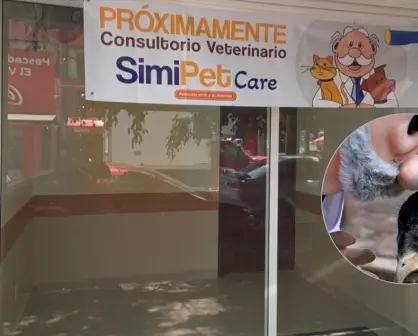 Simi Pet abre sus puertas en la CDMX, ¿adiós a los veterinarios caros?