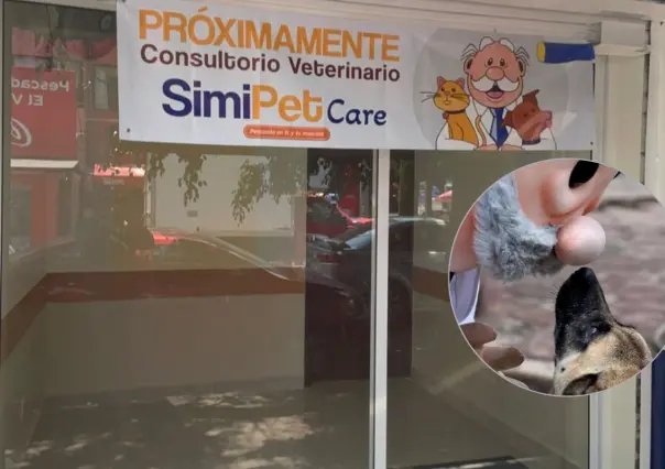 Simi Pet abre sus puertas en la CDMX, ¿adiós a los veterinarios caros?