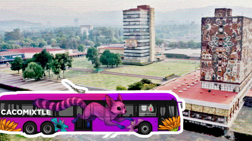 ¿Cuándo inauguran el Trolebús ´Cacomixtle´ en CDMX?