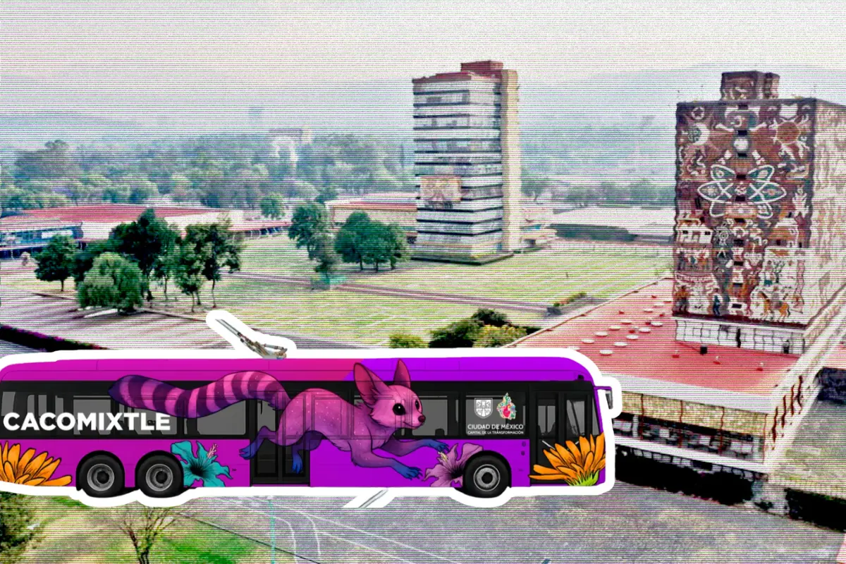 De fondo Ciudad Universitaria, Trolebús Cacomixtle. Foto: Gobierno CDMX | Canva