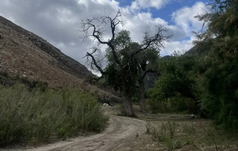Foto: All Trails