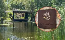 Angsana Spa: experiencias wellness en un entorno de lujo sustentable en Mérida