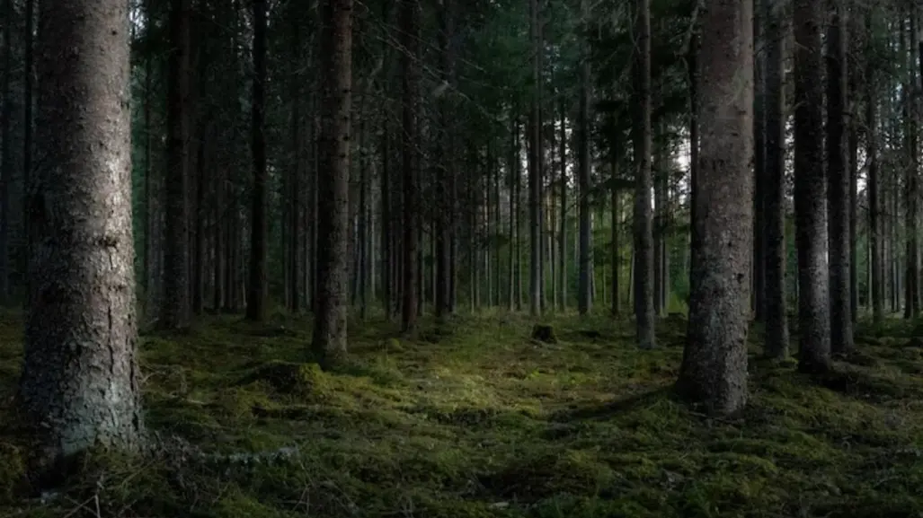 Edomex avanza hacia la protección legal de su patrimonio natural y biocultural