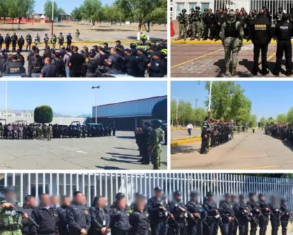 Despliegan Operativo Restitución: aseguran predios en 25 municipios de Edomex