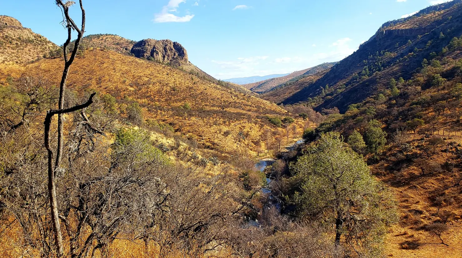 Foto: El Campo, Tepehuanes Dgo., en Facebook.