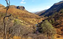 El cerro de Durango de más de 3 mil metros de altura a 15 kilómetros de Tepehuanes