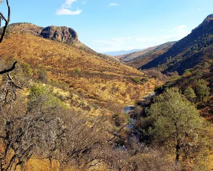 El cerro de Durango de más de 3 mil metros de altura a 15 kilómetros de Tepehuanes