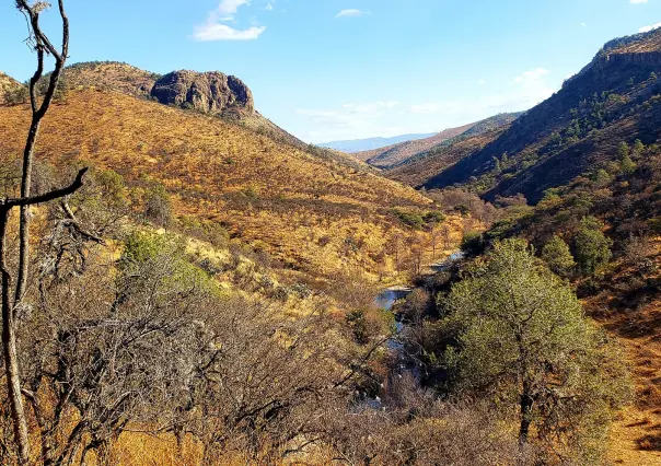 El cerro de Durango de más de 3 mil metros de altura a 15 kilómetros de Tepehuanes