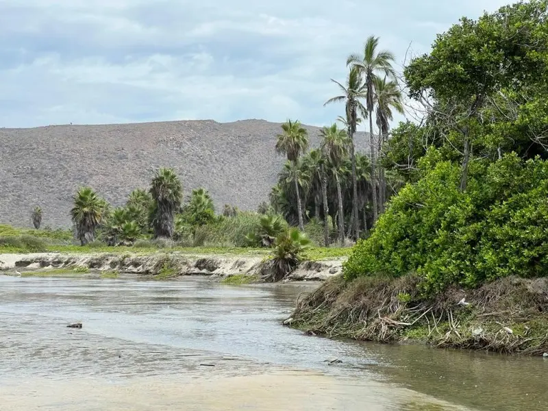 Playa San Pedrito de Las Palmas cerca de Todos Santos. Foto: Turismo La Paz.
